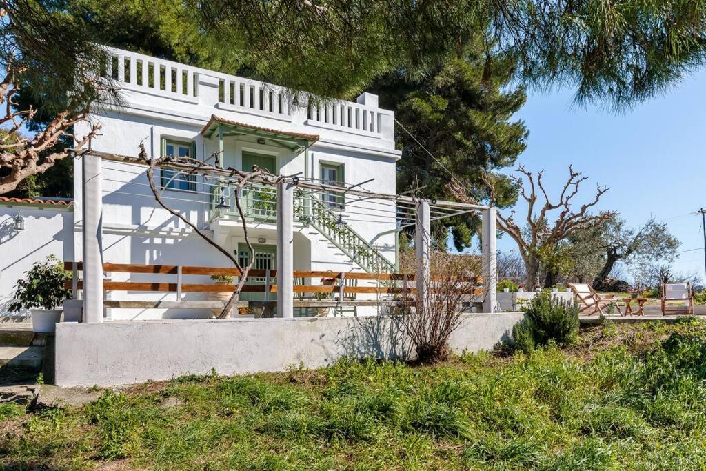 Villa Ambeli Skopelos Buitenkant foto