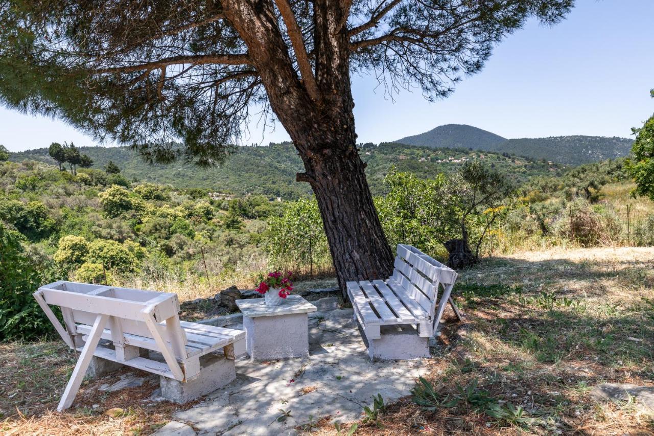 Villa Ambeli Skopelos Buitenkant foto